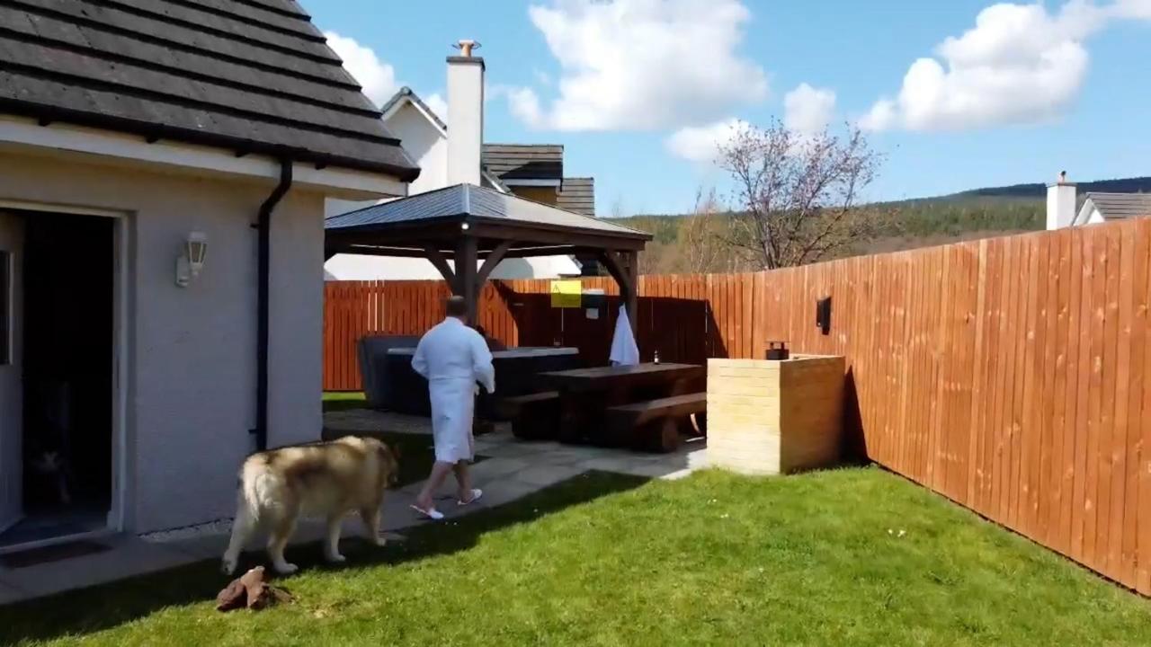 Eagle - Holiday home Aviemore